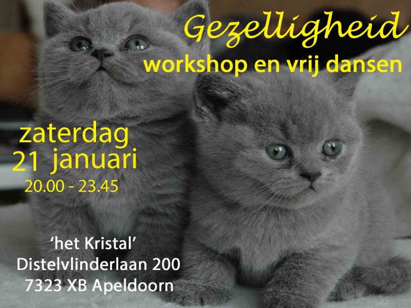 Evenement – Za 21 januari PARTY: ‘Gezelligheid!’